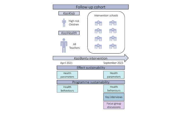 Study Design KaziBantu Sustainability Study