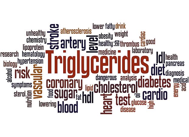 Triglycerides