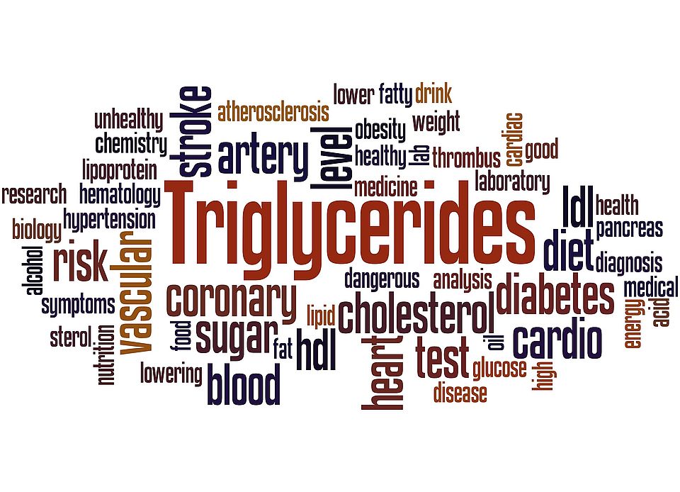 Triglycerides