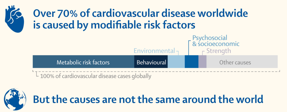 Lancet - Cardiovascular Risk Factors
